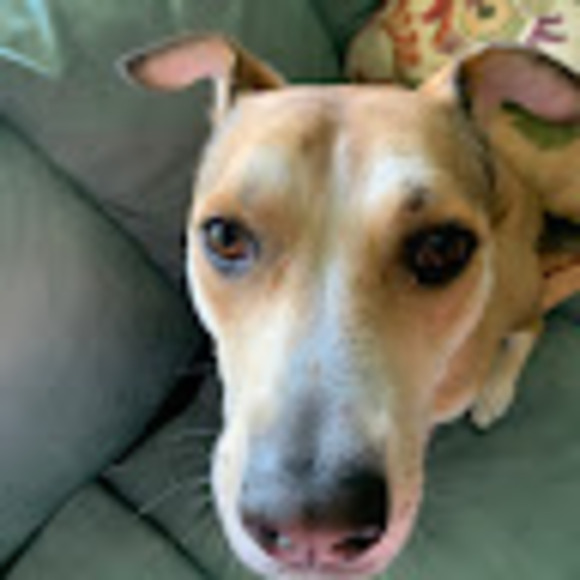 k979